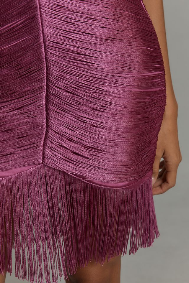 Saylor Vianne Fringe Mini Dress #2