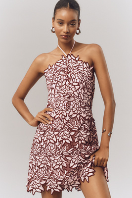 Endless Rose Halter Lace Mini Dress In Multi