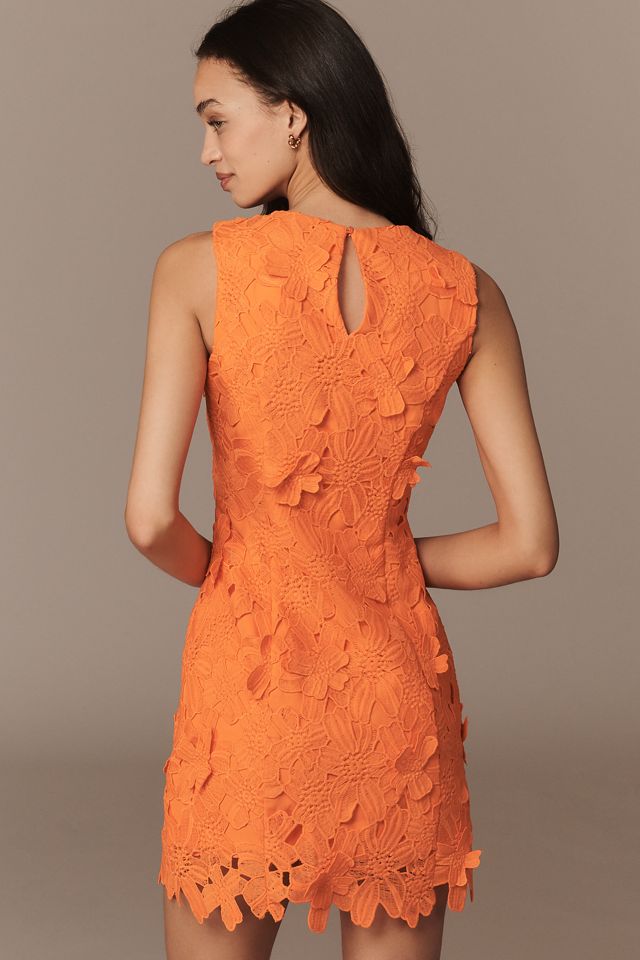 Endless Rose Floral Lace Mini Dress | Anthropologie