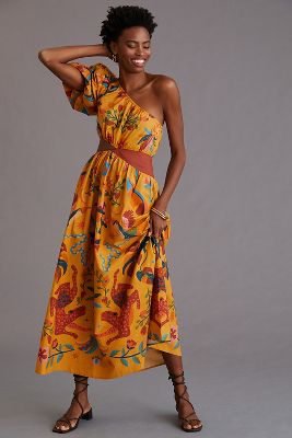 Maxi Dress Anthropologie