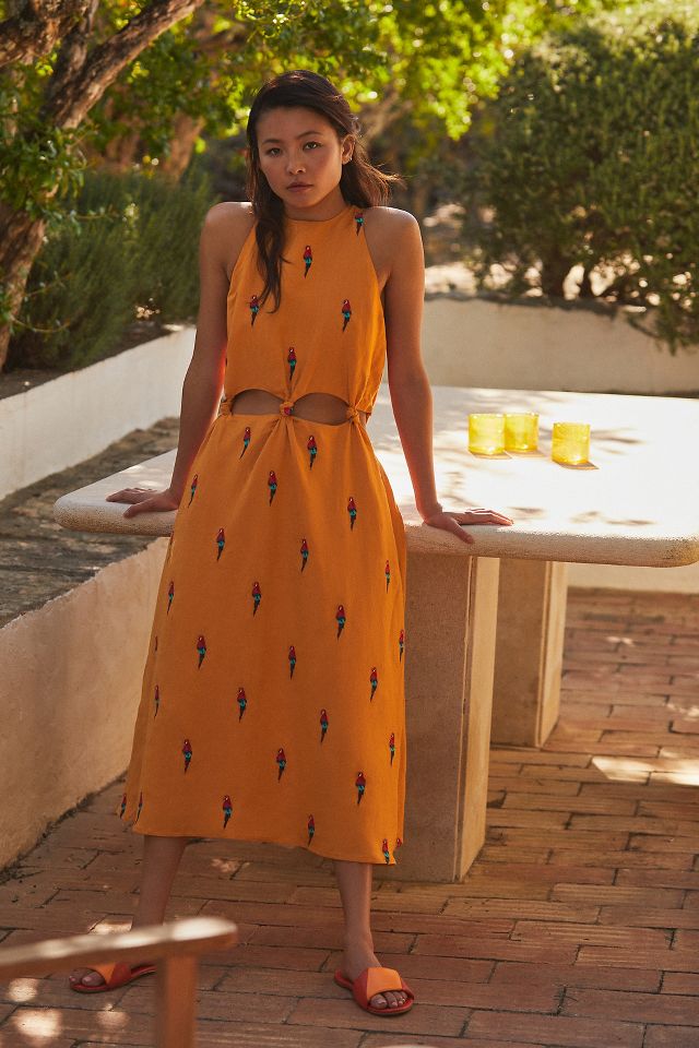 Anthropologie farm outlet dress