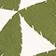 Green & White Traingles