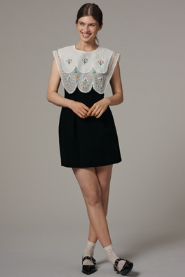 Maude McKenzie Sleeveless Embroidered Mini Dress product page