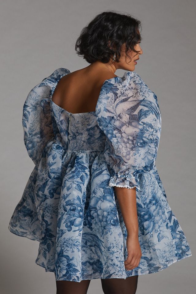Toile Puff-Sleeved Mini Dress | Anthropologie