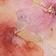 Pink Yellow Multi