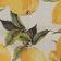 Yellow Pattern