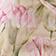 Cantaloupe Pink Floral