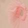 Pink Pattern