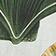 Somers Shell Mint