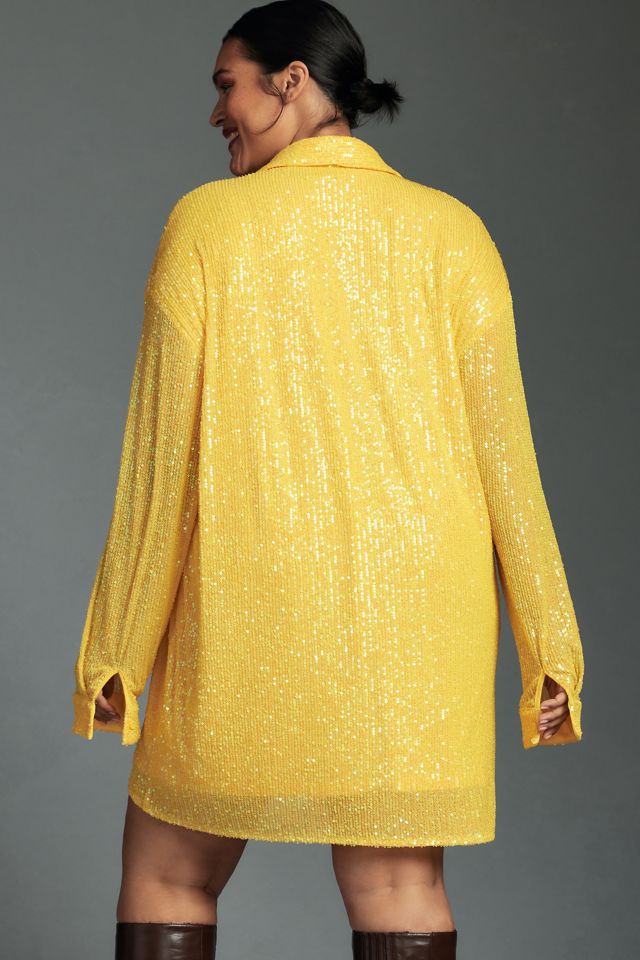 flat white sequin tunic dress Anthropologie Flat White Sequin Tunic Mini Dress Size S.B27