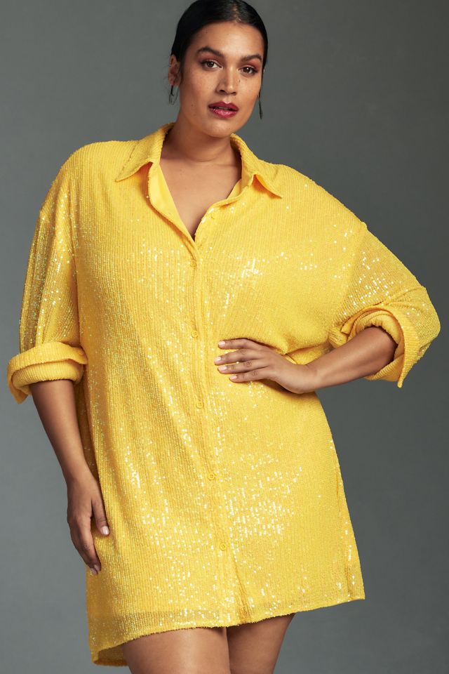 flat white sequin tunic dress Anthropologie Flat White Sequin Tunic Mini Dress, Small, New!