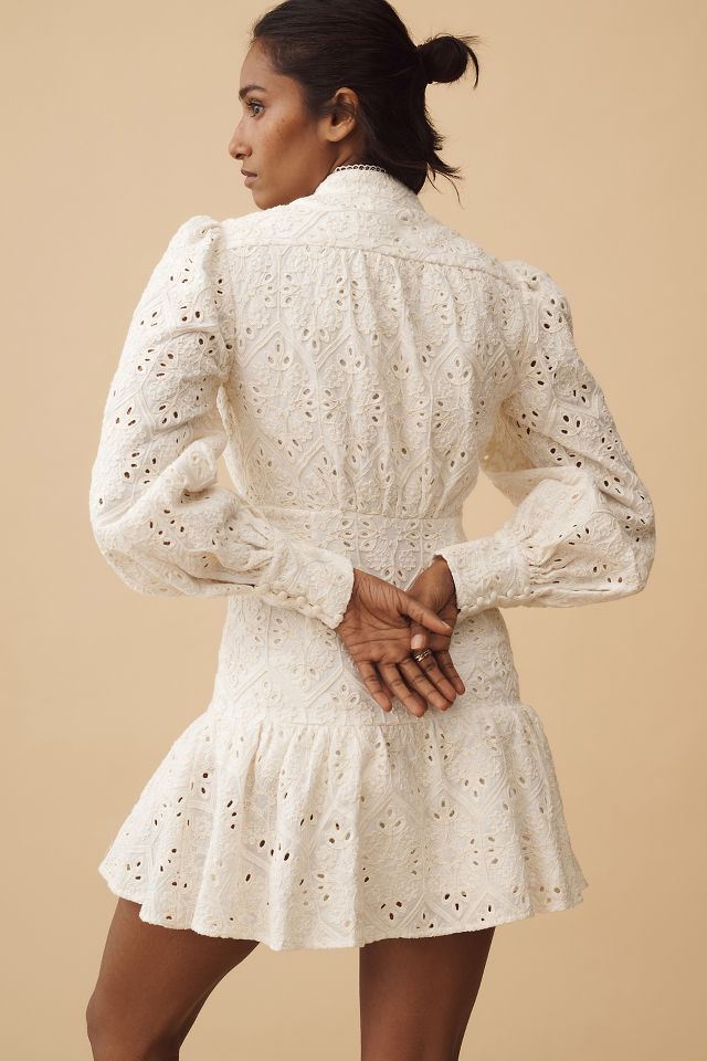 Bardot Remy Long Sleeve Lace Mini Dress Anthropologie