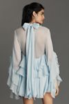 Bardot Anyssa Long-Sleeve Ruffle Mini Dress
