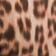 BROWN MOTIF
