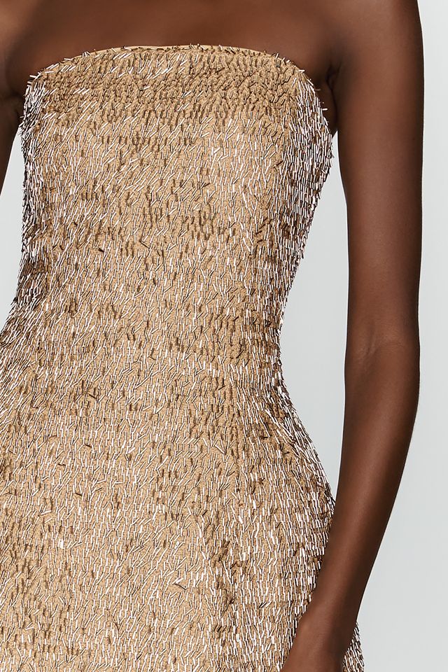Bardot Florine Strapless Mini Dress #1