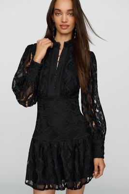 Bardot Remy Lace Mini Dress by Anthropologie