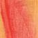 Pink Pattern