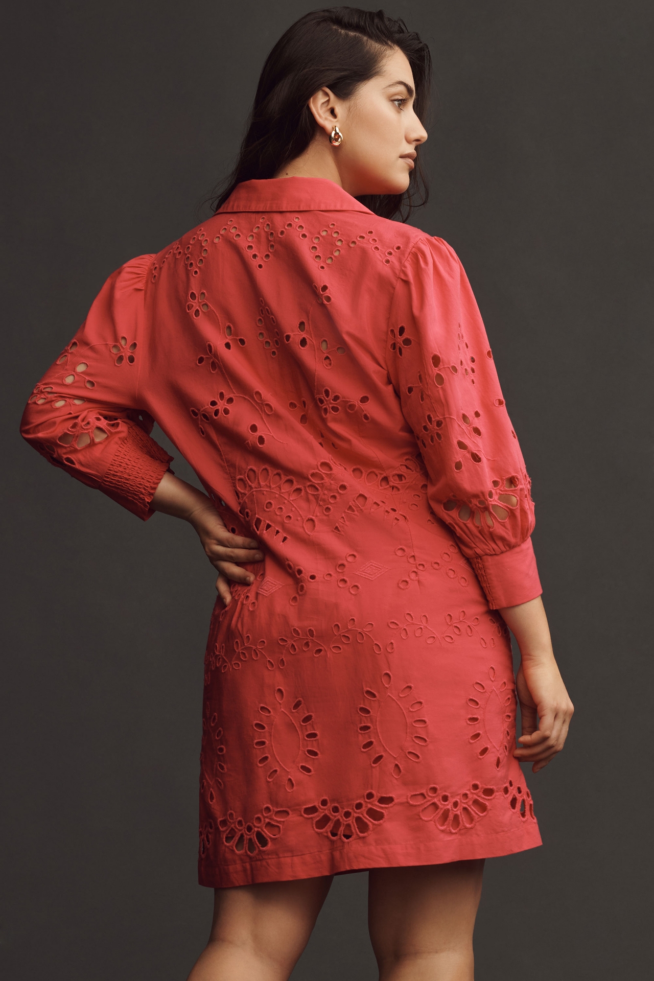 By Anthropologie Long-Sleeve Embroidered Buttondown Mini Dress