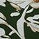 Green Pattern