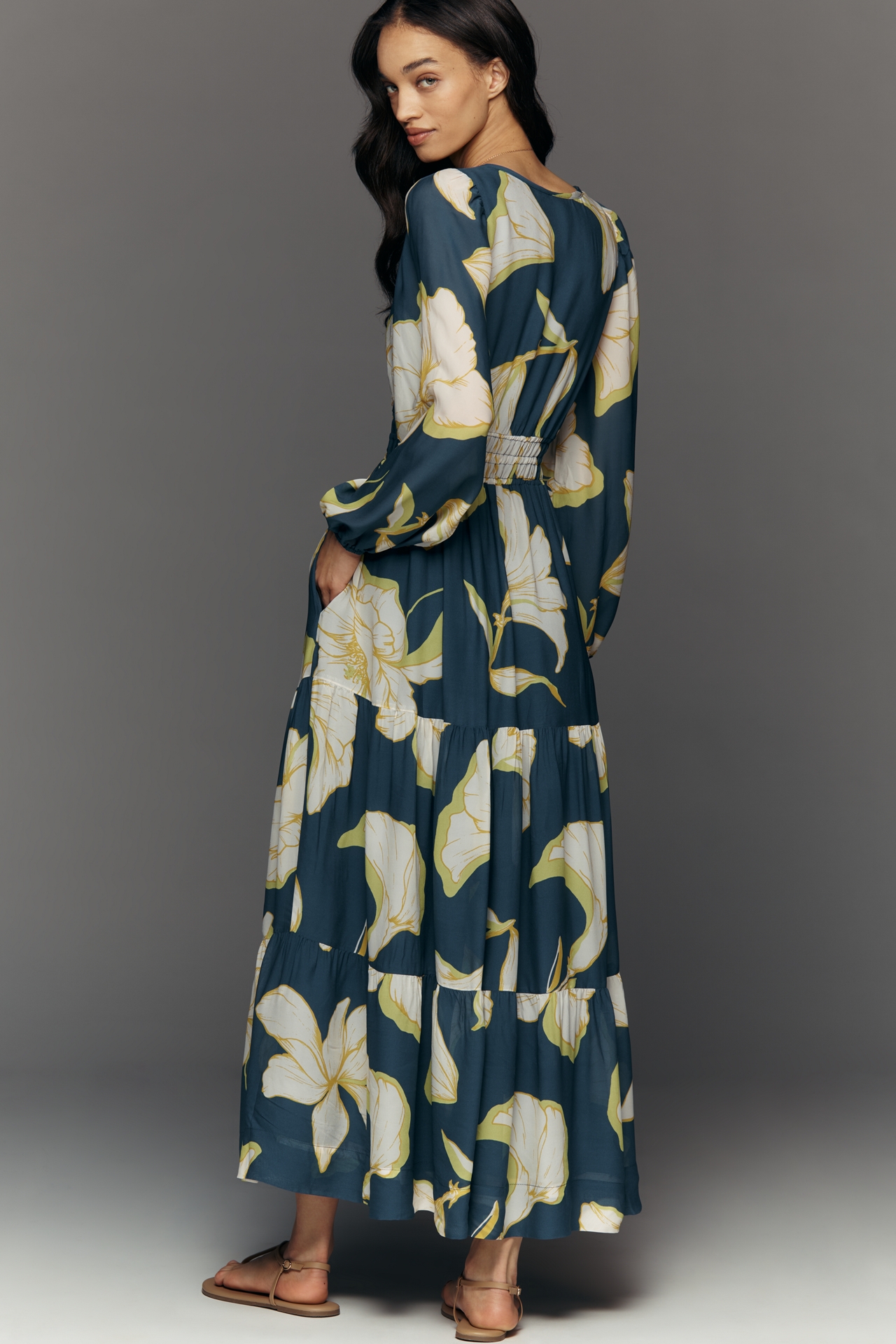 Somerset Maxi Dress: Long-Sleeve Chiffon Edition