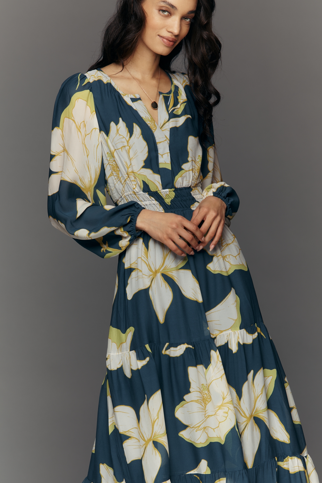 Somerset Maxi Dress: Long-Sleeve Chiffon Edition