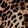 BROWN PATTERN