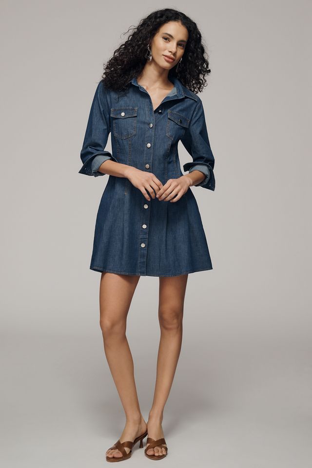 Exquise Long-Sleeve Waisted Denim Mini Shirt Dress | Anthropologie