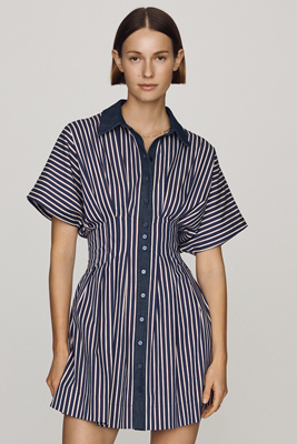 Tobie Mini Shirtdress