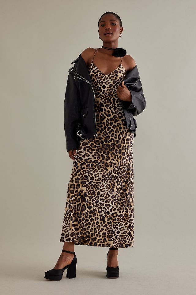 Leopard dress clearance slip