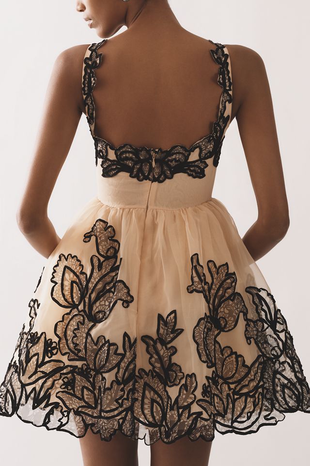 Maeve Sleeveless V-Neck Lace Fit & Flare Mini Dress #2