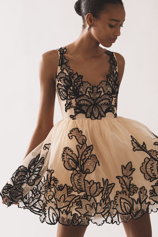 Maeve Sleeveless V-Neck Lace Fit & Flare Mini Dress #1