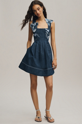 Maeve Denim Embroidered Fit & Flare Mini Dress
