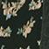 Green Pattern