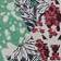 Multi Floral