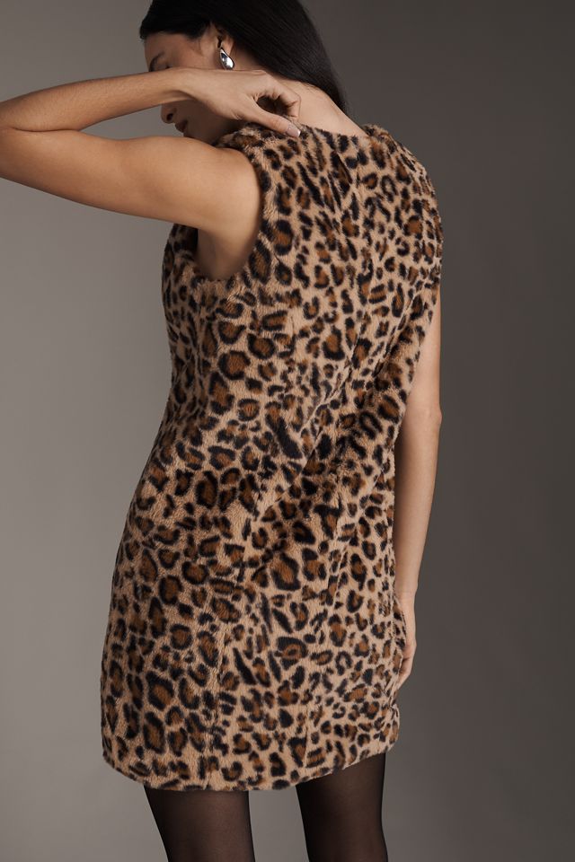 Siempre Sleeveless Printed Mini Dress #3