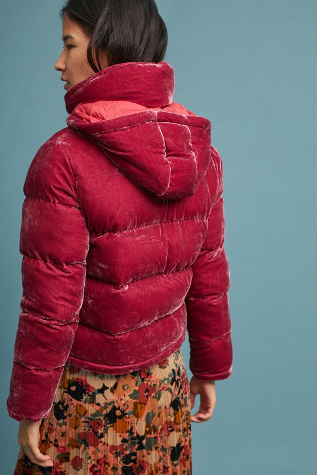 Velvet Puffer Coat #2