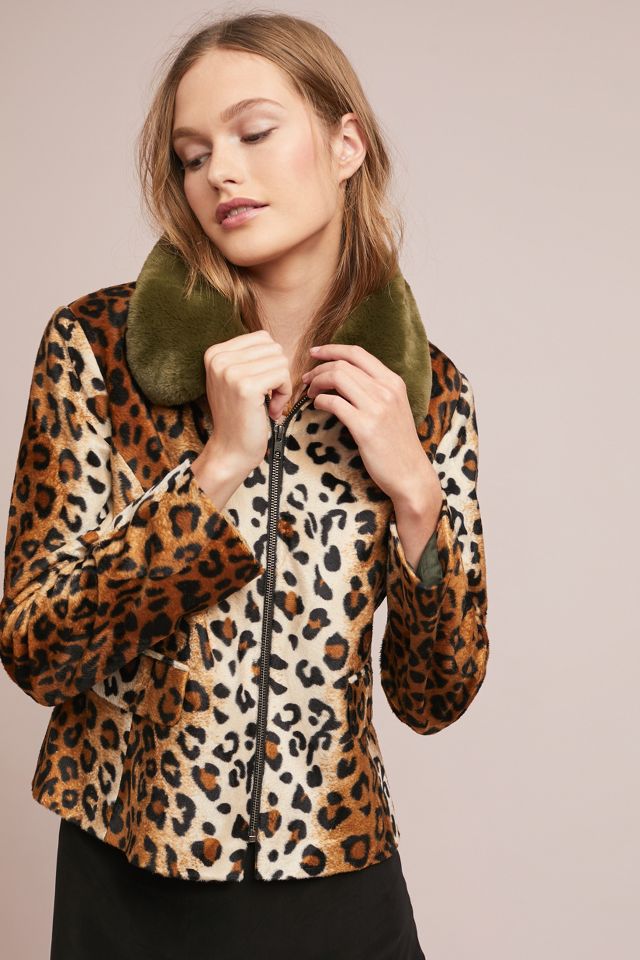 Leopard coat clearance anthropologie