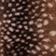 Brown Dot