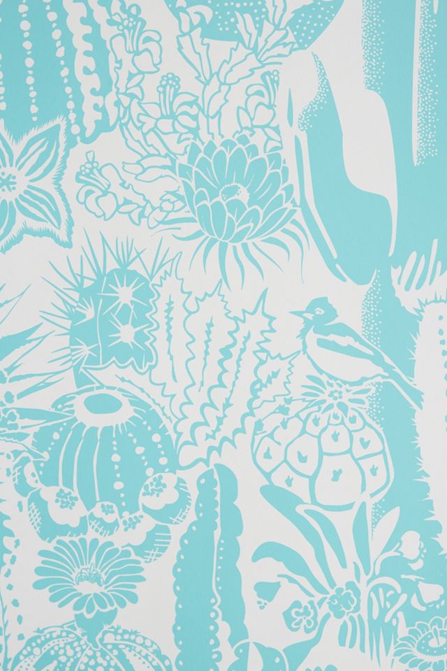 Cactus Spirit Wallpaper #2