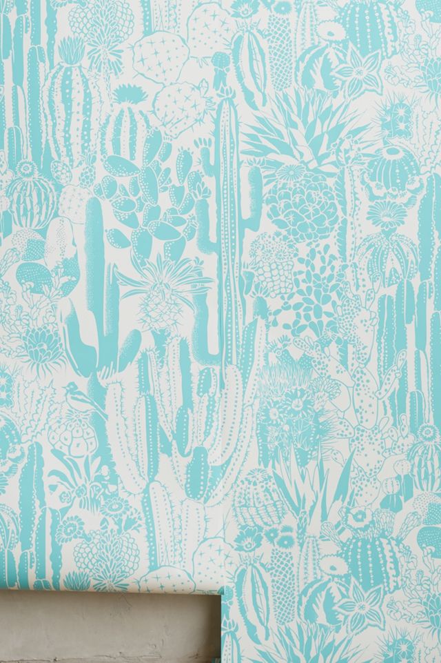 Cactus Spirit Wallpaper #1
