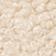 Shore Beige
