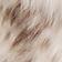 Neutral Pattern