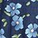 Midnight Forget-Me-Not
