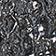 BLACK MOTIF