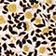 Ivory Floral