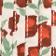 Red Pattern