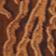 Brown Pattern