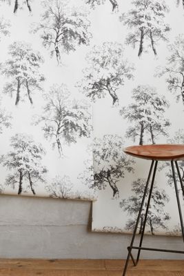 Deciduous Forest Wallpaper