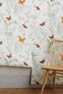Papillon Toile Butterfly Wallpaper