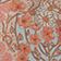 Pink Pattern